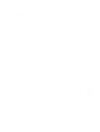 Travelers-Choice-1 the Traveler's Choice logo with 