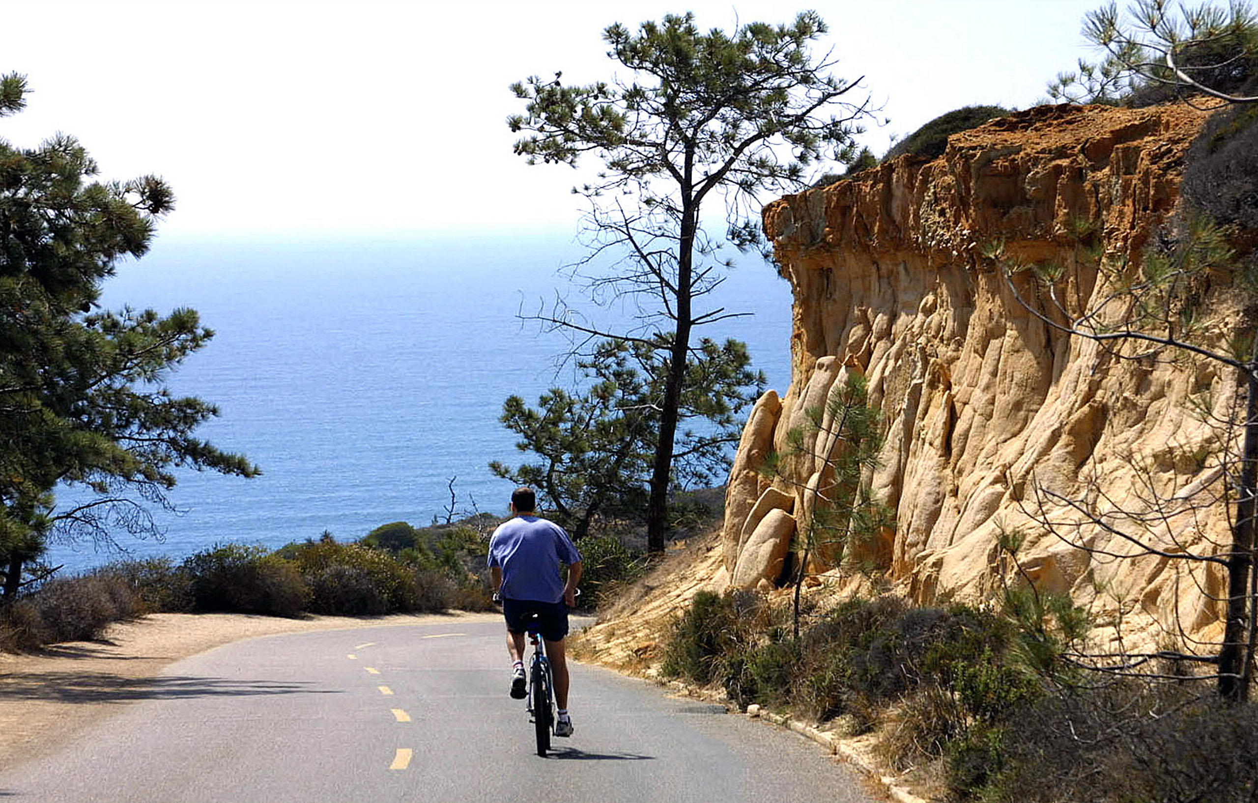 Coastal LaJolla Cyclist