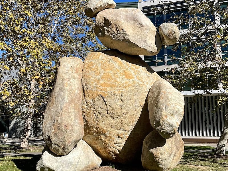 rock sculpture of bear at ucsd