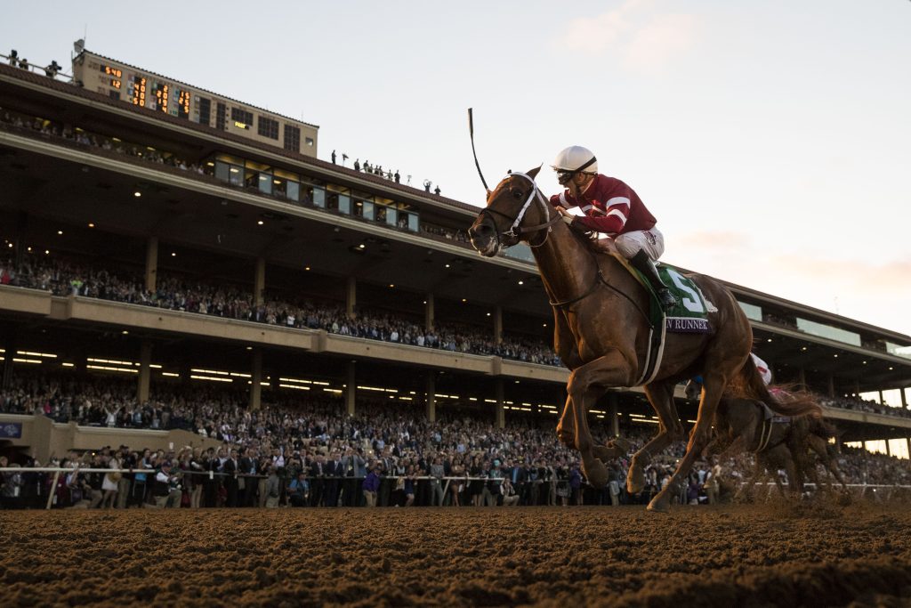 Photo of a Horse Running at Del Mar