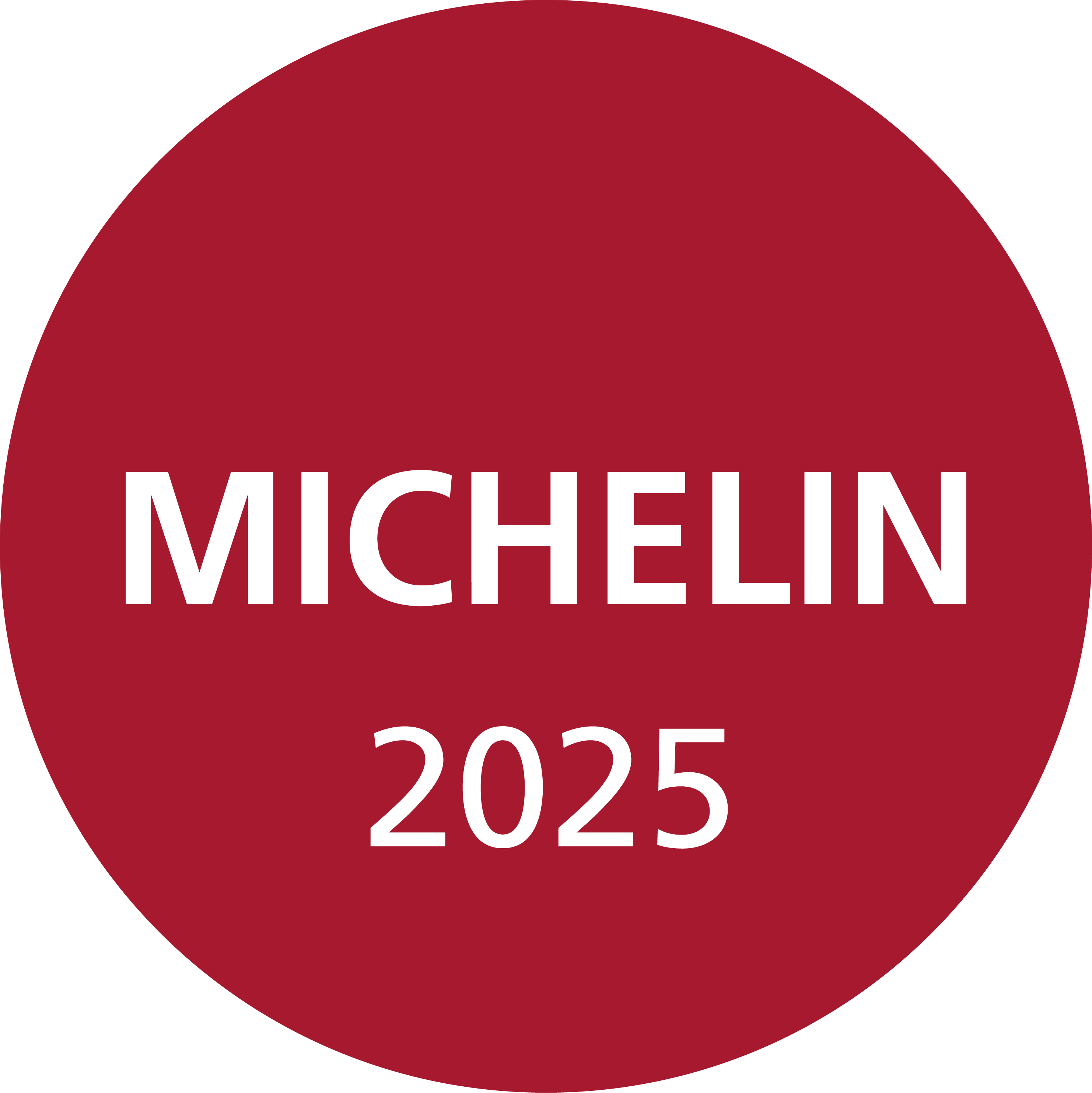 MICHELIN 2025 Logo
