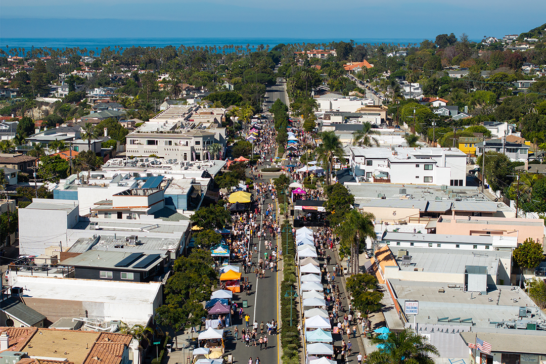 aerial photo of the BirdStock music festival